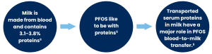 three circles and directional arrows in a graphic depicting the flow of PFAS chemicals through dairy to milk to blood