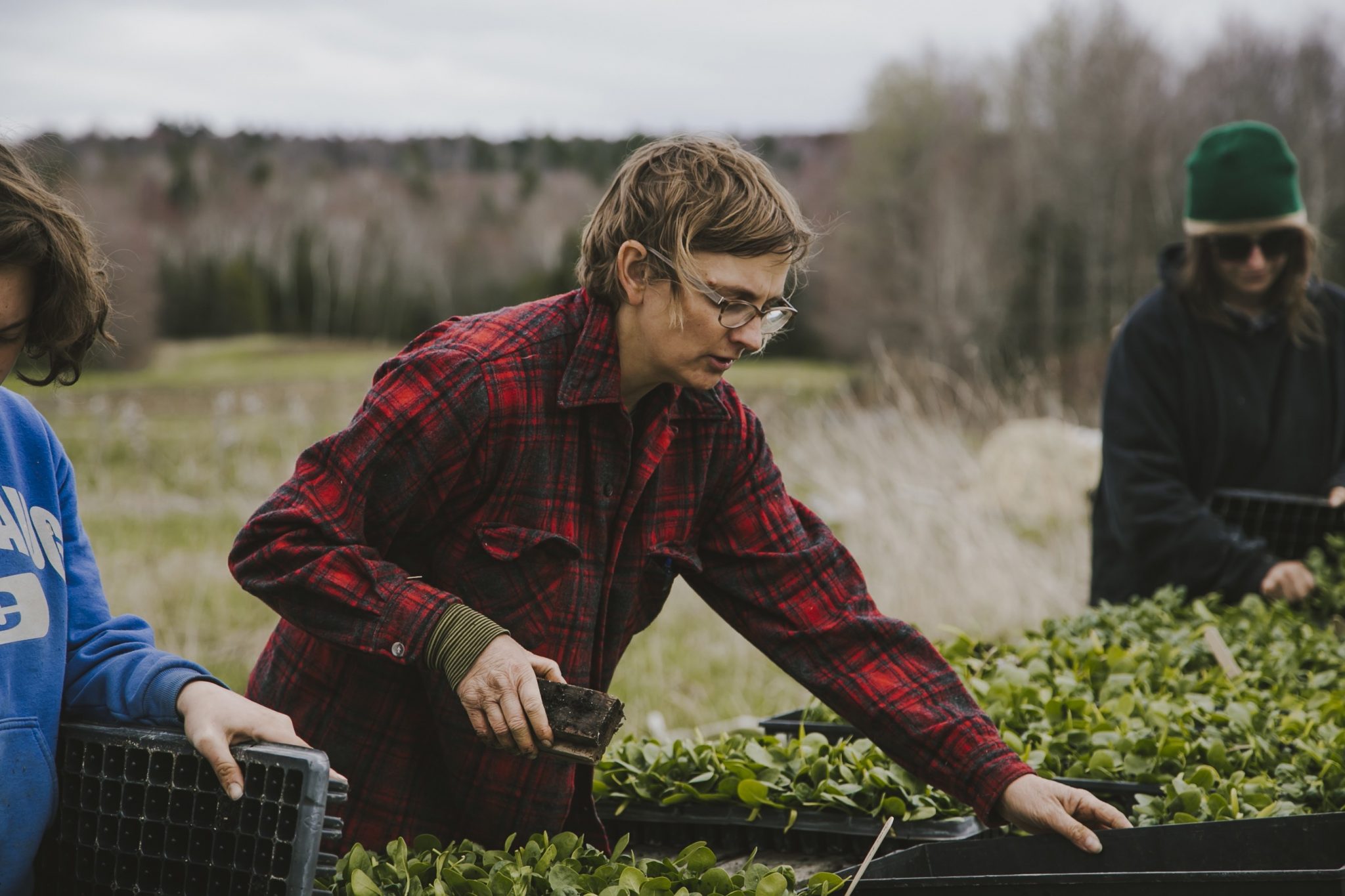 About The Team Maine Farmer Resource Network University Of Maine Cooperative Extension