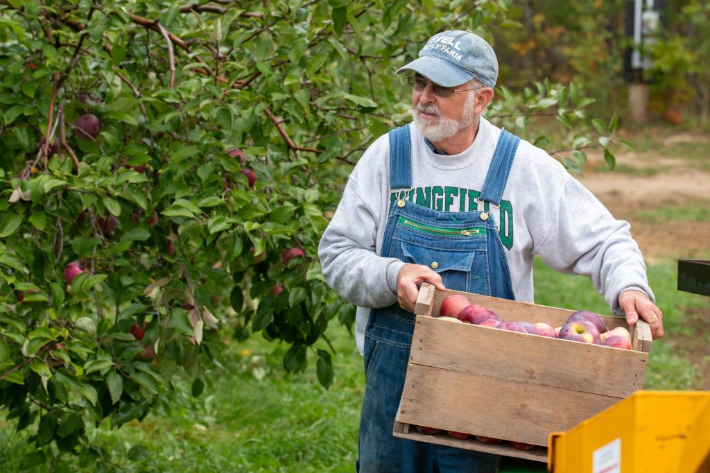 a farmer gathering apples in an orchard