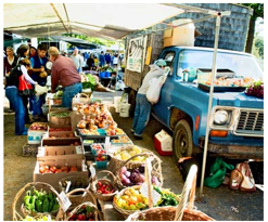 picture of a farmer's market in portland