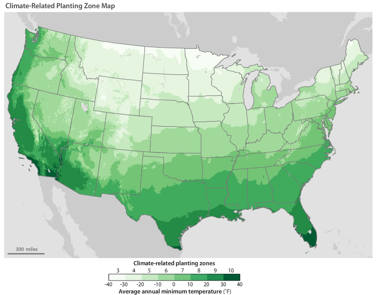 Climate-Related Planting Zone Map of the U.S.