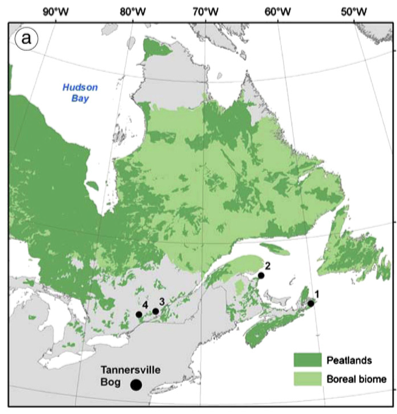 Map of northern north america with peatland distribution