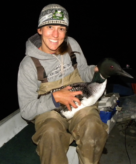 The author, Allison Byrd, holding a loon during night capture on Kennebago Lake, Maine.