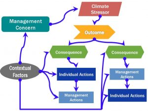 Schematic of the Vulnerability and Climate Adaptation and Planning Scenario (VCAPS)