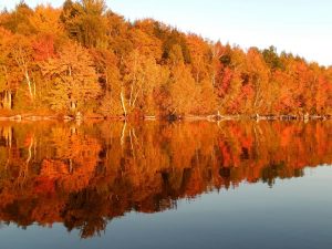 Fall foliage reflected in lake