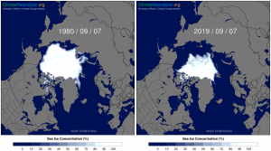 Maps of satellite-measured Arctic sea ice concentration in 1980 and 2019 on for September 7th, which is near the annual minimum extent. Source data from NCEP Climate Forecast System Reanalysis. These and other daily sea-ice concentration maps are available on the Daily Sea Ice Timeseries and Maps interface on Climate Reanalyzer.