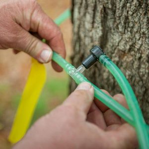 tubing for tapping maple trees