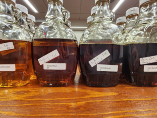 bottles of maple syrup on a table with grading labels