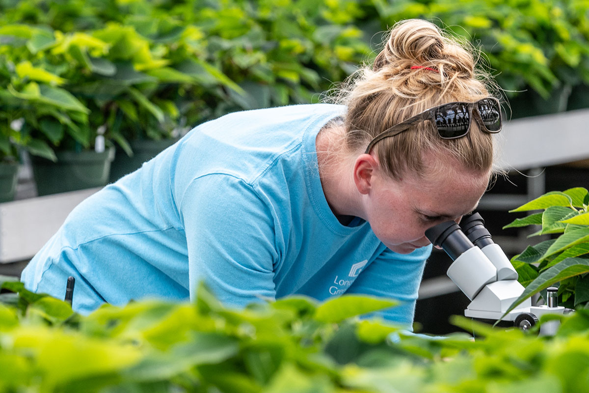 a person learning over a microscope in a garden setting, an undergrad doing research