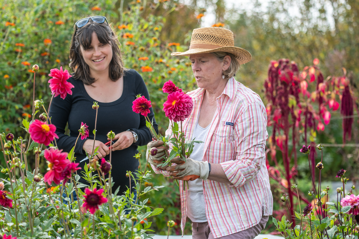 people cutting flowers at Tidewater Gardens