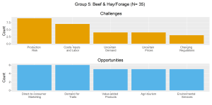 Respondents in Group 5 (Beef and Hay/Forage) identified their challenges and opportunities.