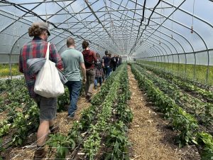 People walking through the rows of vegetable plants in a high tunnel at Maine farm.