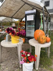 tables with pumpkins and fall cut flowers at a farm in Maine