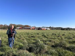 Shepherd in hay field.