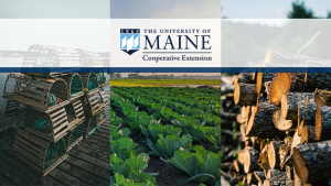 Collage image showing lobster traps, vegetable crop, and sawn logs with the University of Maine Cooperative Extension logo at the top.