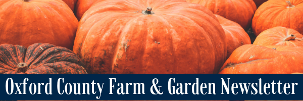 Pumpkins with Oxford County Farm & Garden Newsletter Title