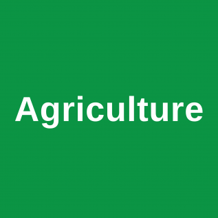 green square with text saying agriculture