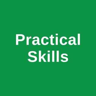 green square with text saying Practical Skills