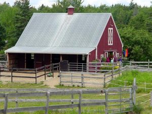 small red horse barn