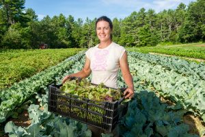 woman farmer with lettuce standing in field