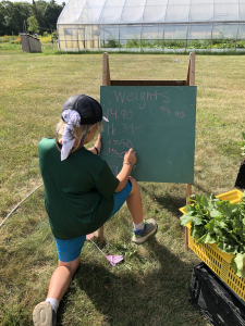 youth writing numbers on chalkboard beside greenhouse