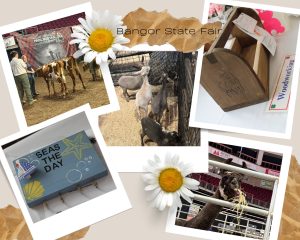 collage of photos showcasing livestock and exhibits