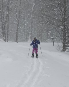 person cross county skiing in a snowy wooded area