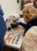 Person looking into microscope