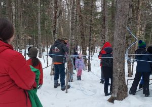 Maple Sugaring in the snow