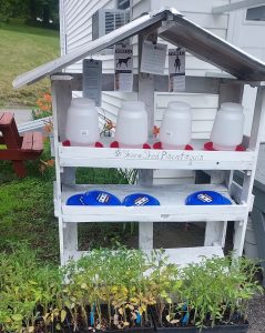 share shed for seeds
