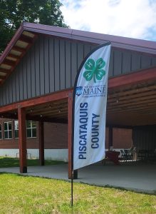 Piscataquis County Office and flag