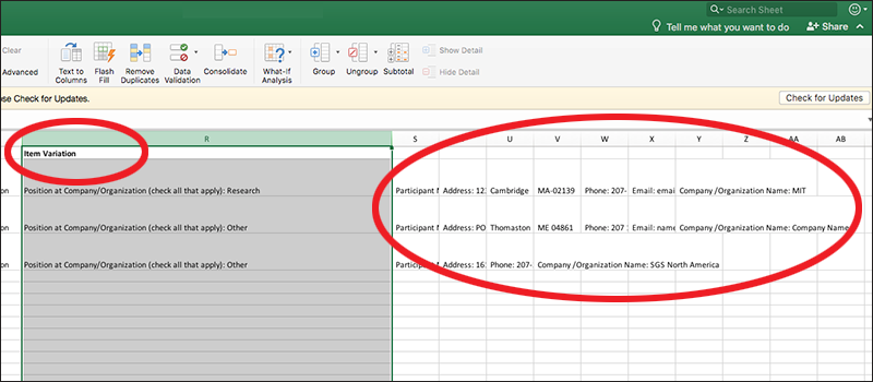 screenshot of Excel report with variations converted into columns