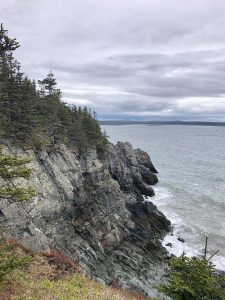 fir trees and ledges overlooking the Atlantic Ocean at Quoddy Head