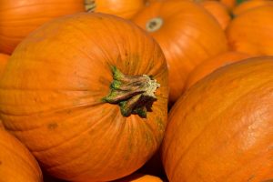 close up of pumpkins in a pile