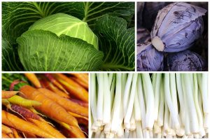 collage of various vegetables used in ramen noodle salad - cabbage, carrots, green onions