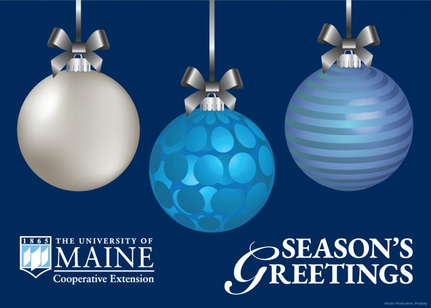 2021 UMaine Extension Virtual Holiday Cards - Plugged In: For UMaine