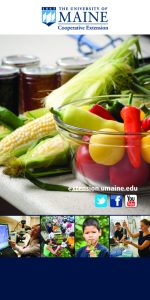 A photo of corn on the cob and a clear bowl full of fresh vegetables of various peppers