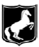 equine shield graphic