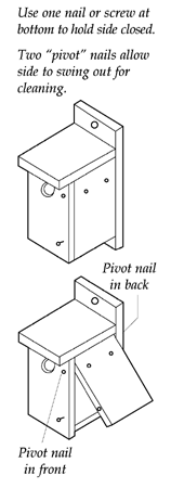 Diagram of assembeled nest box for tree swallow, Eastern bluebird and great crested flycatcher. Use one nail or screw at bottom to hold side closed. Two "pivot" nails allow side to swing out for cleaning.