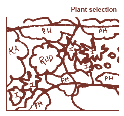 plant selection