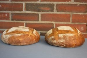 Bread baked from wheat grown in the University of Maine winter wheat variety trials shows the importance of adequate grain protein for good loaf volume and texture. The variety Jerry with 10.9% grain protein (on left) compared with the variety Redeemer with 12.3% grain protein (on right).