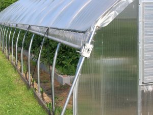 High tunnel with raised beds and roll-up sides