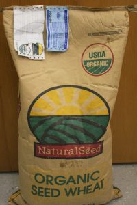 bag of wheat seed