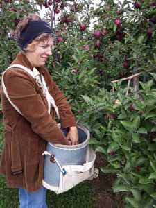 Apple picker with picking bucket