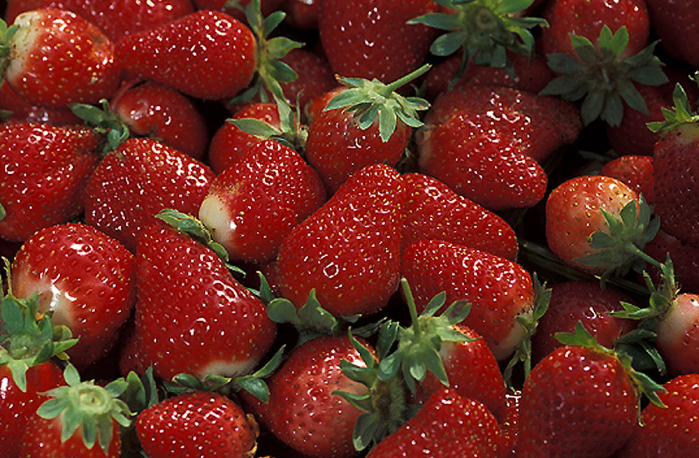 Why You Should Buy Farm Fresh Strawberries