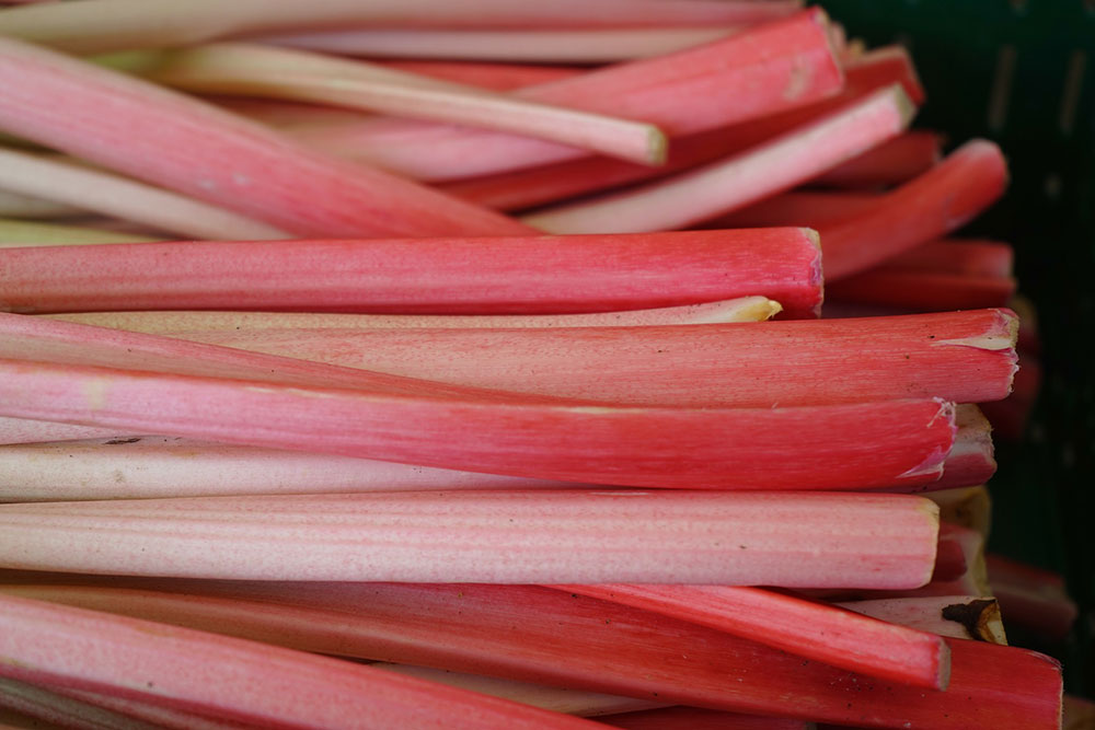 Rhubarb 101 — The Food Co-op