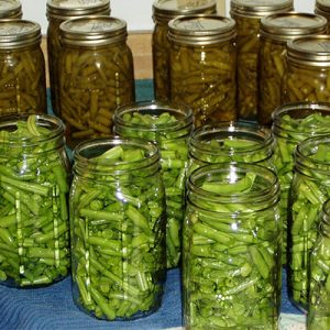 green beans in canning jars, being processed