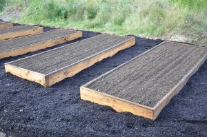Raised beds with wooden frames