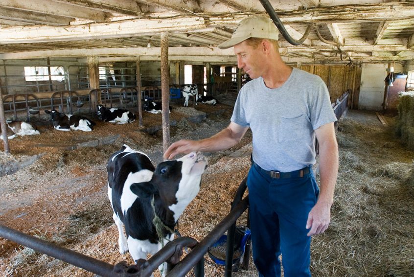 Bulletin #1047, Farmer Skill and Knowledge Checklist for Calf Care and ...