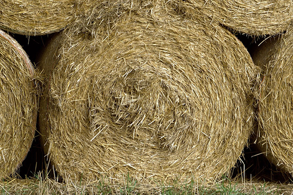 Bulletin #2263, How Maine Farmers Can Determine if They Have Enough Hay and  Forage for the Winter - Cooperative Extension Publications - University of  Maine Cooperative Extension